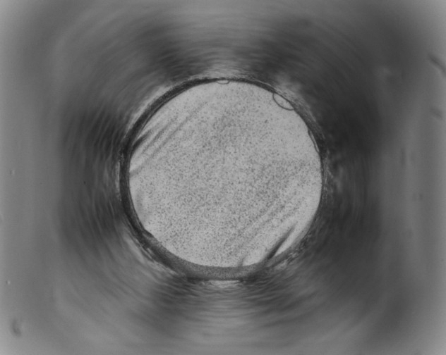 X0000098190108200805221527