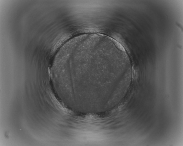 X0000098190109200805221527