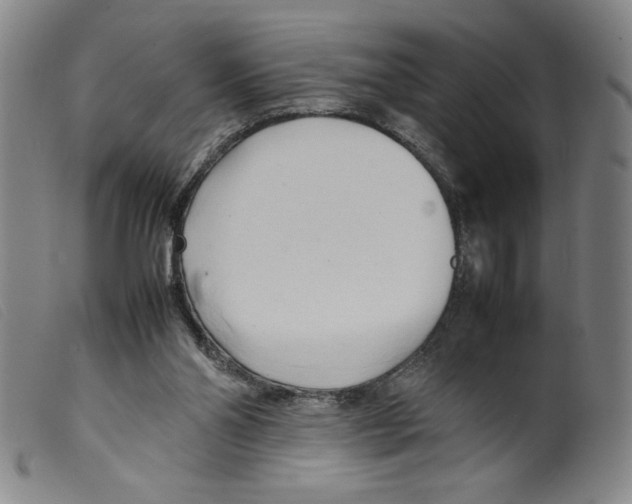 X0000098190110200805221527