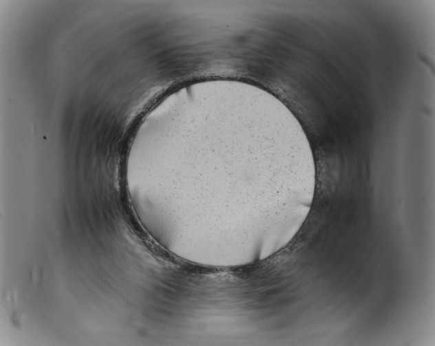 X0000098190112200805221527