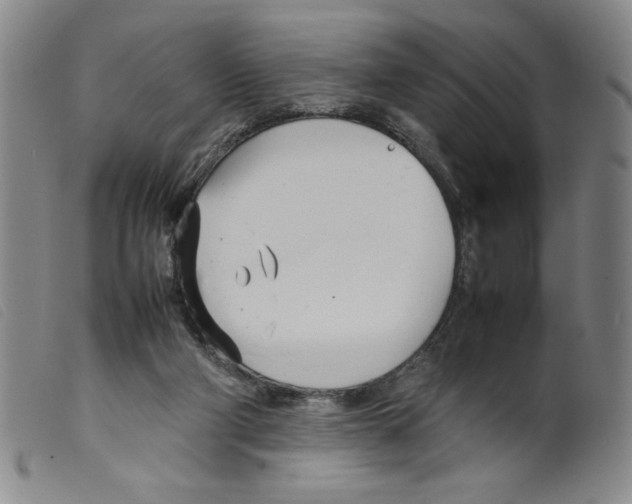X0000098190114200805221527