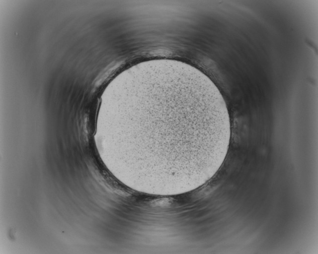 X0000098190116200805221527