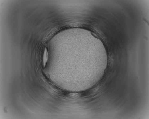 X0000098190117200805221527