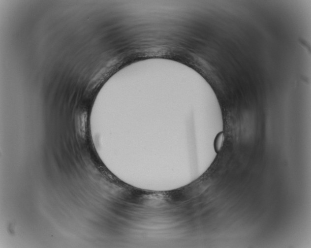 X0000098190118200805221527