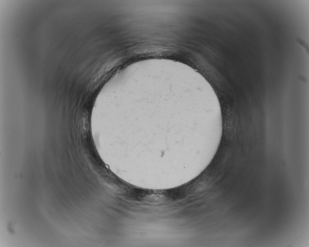 X0000098190119200805221527