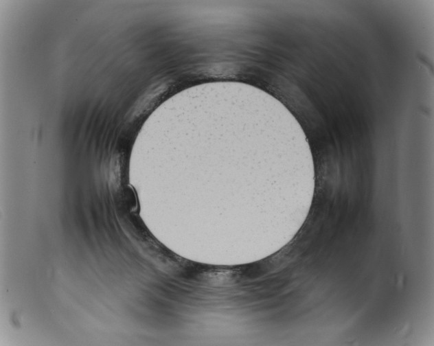 X0000098190120200805221527