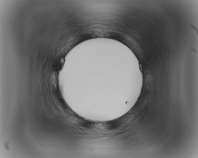 X0000098190121200805221527