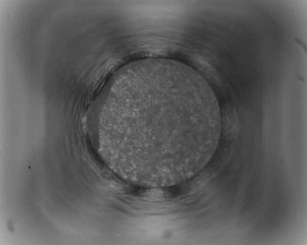 X0000098190123200805221527