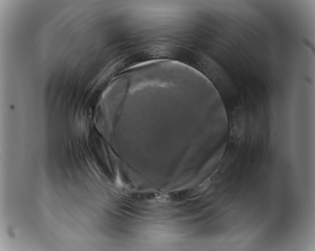 X0000098190124200805221527