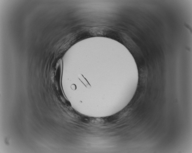 X0000098190125200805221527