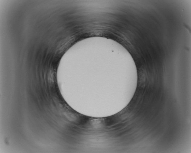 X0000098190126200805221527
