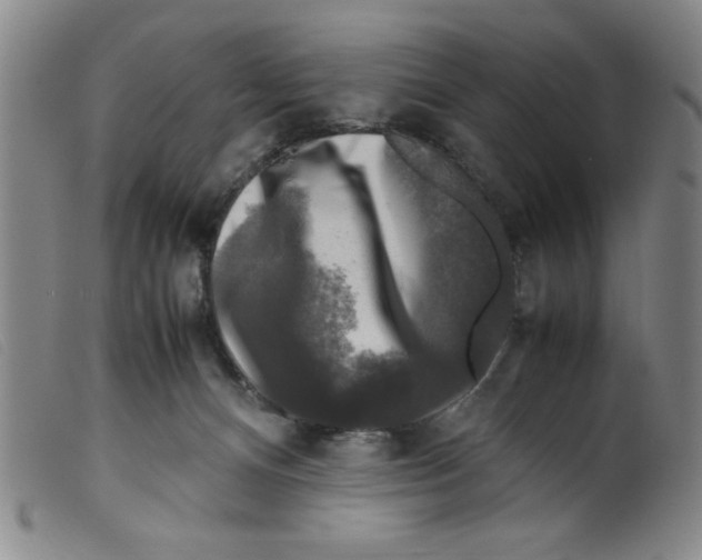 X0000098190128200805221527