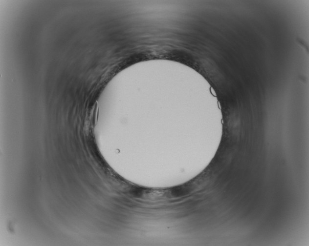 X0000098190129200805221527