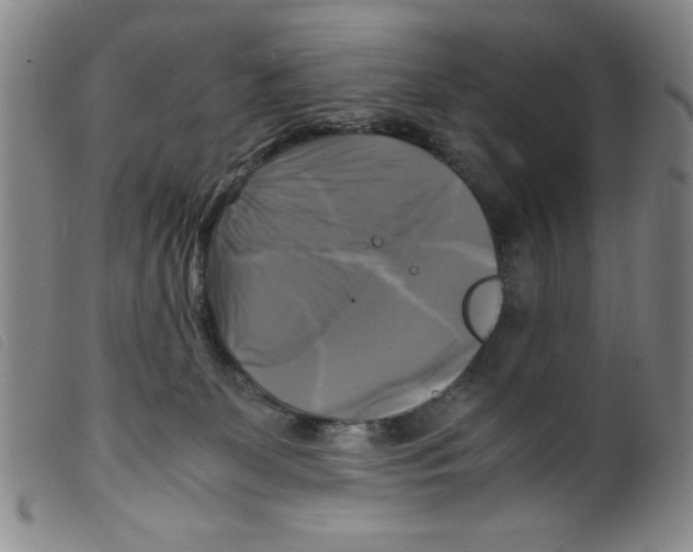 X0000098190131200805221527