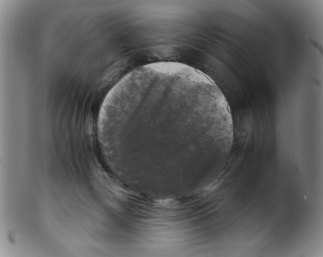 X0000098190132200805221527