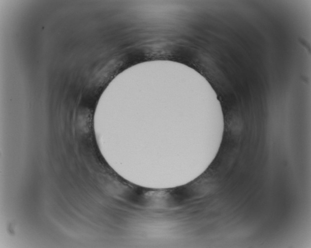 X0000098190133200805221527