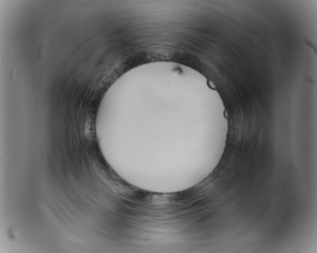 X0000098190134200805221527