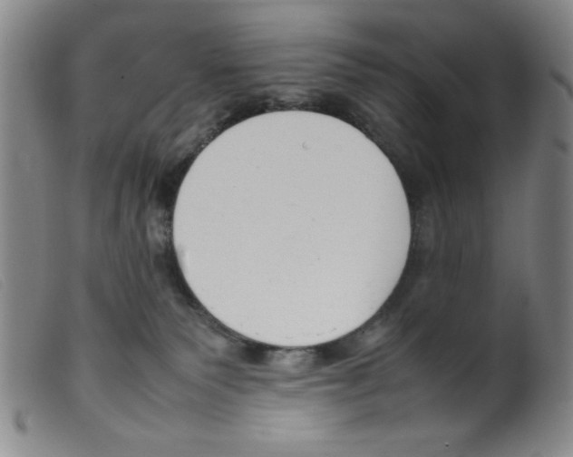 X0000098190135200805221527