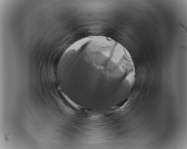 X0000098190136200805221527