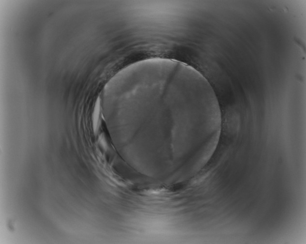 X0000098190137200805221527