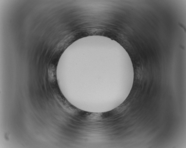 X0000098190138200805221527