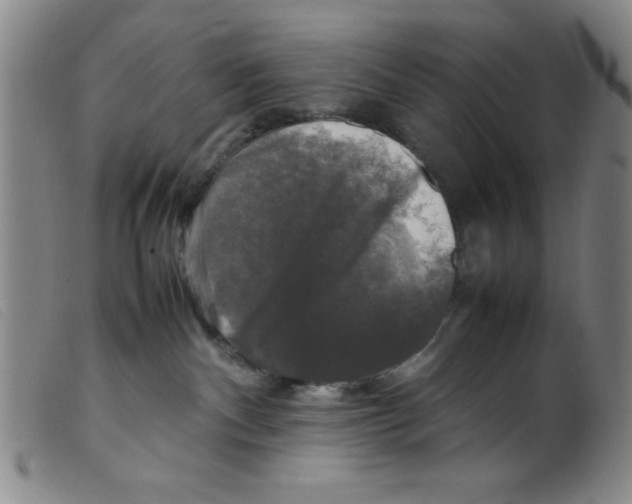 X0000098190140200805221527