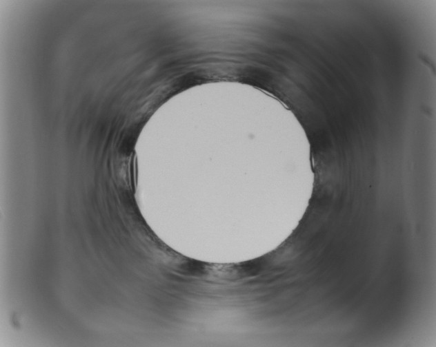 X0000098190141200805221527