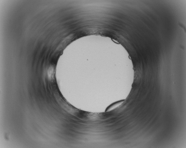 X0000098190142200805221527