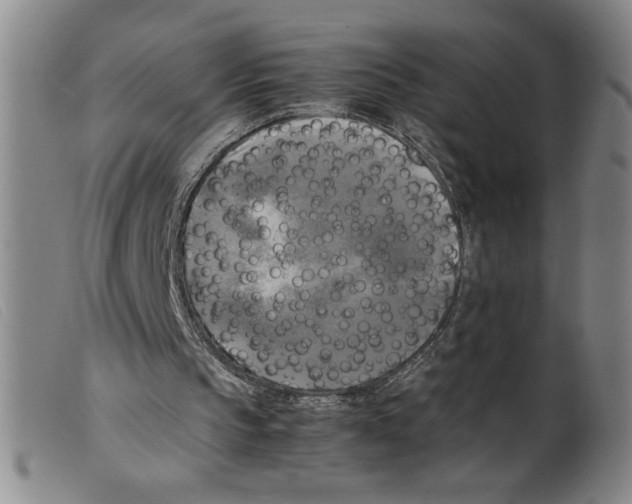 X0000098190145200805221526