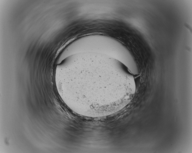 X0000098190146200805221526