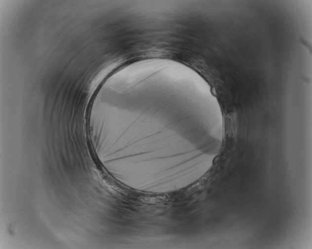 X0000098190147200805221526