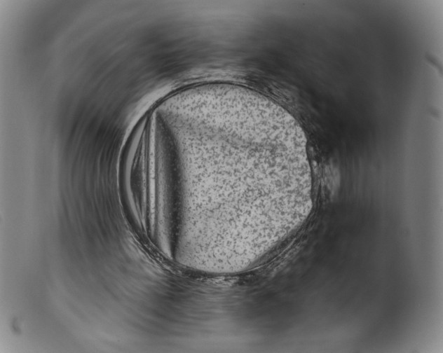 X0000098190148200805221526