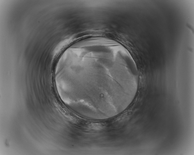 X0000098190149200805221526