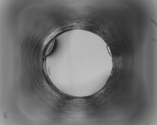 X0000098190150200805221526