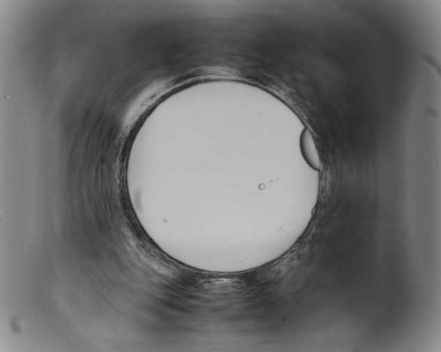 X0000098190151200805221526