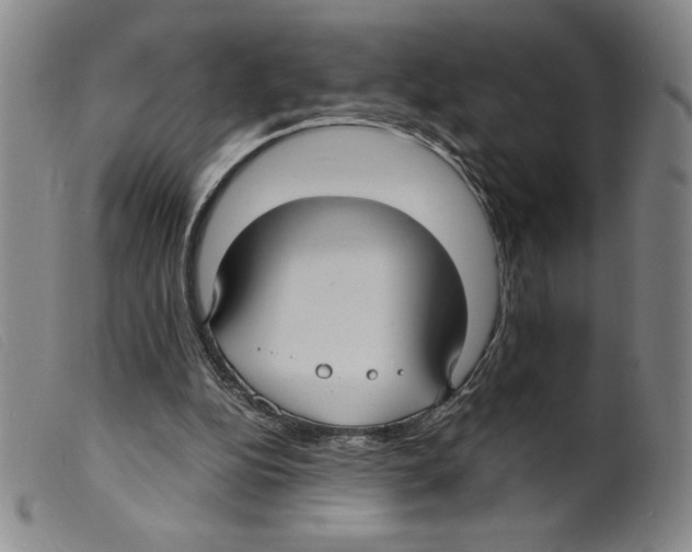 X0000098190152200805221526