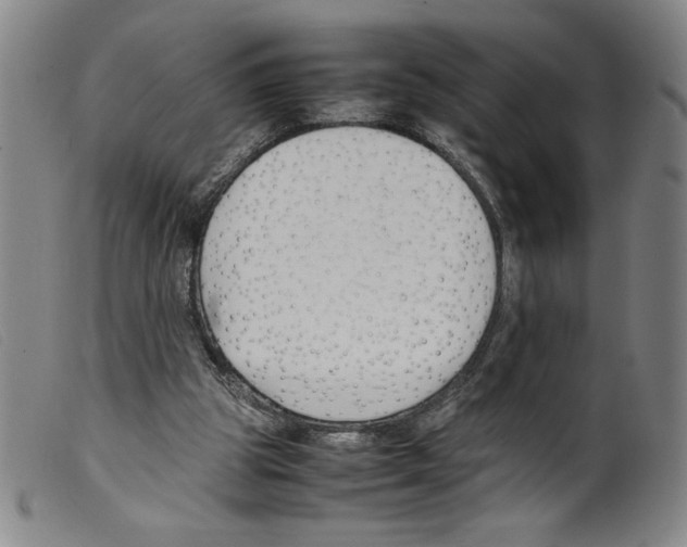 X0000098190153200805221526