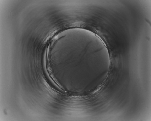 X0000098190154200805221526