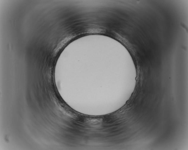 X0000098190155200805221526