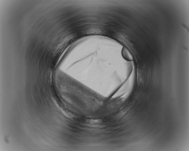 X0000098190157200805221526