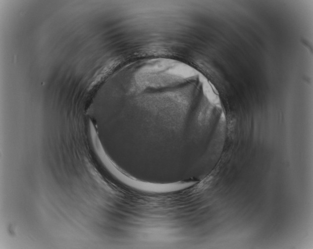 X0000098190158200805221526