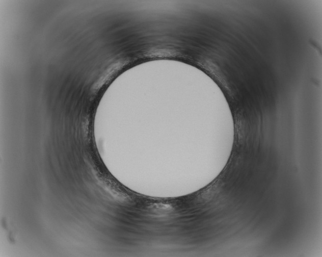 X0000098190159200805221526