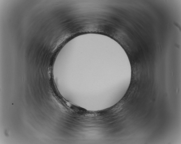 X0000098190160200805221526
