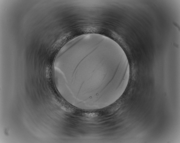 X0000098190161200805221526