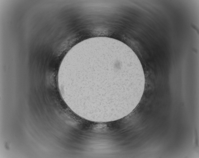 X0000098190162200805221526