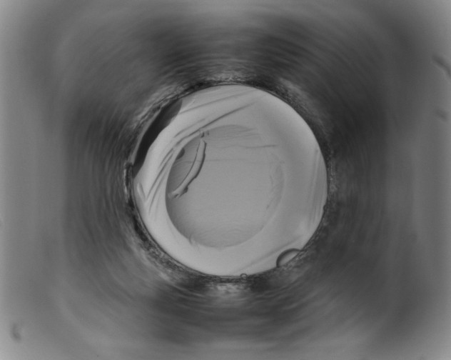 X0000098190163200805221526