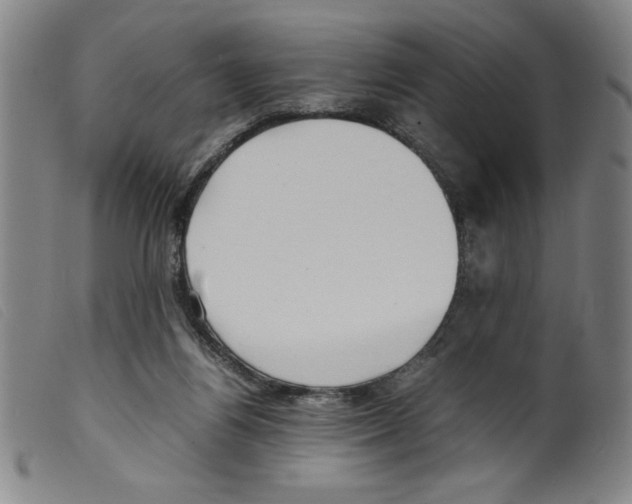 X0000098190164200805221526