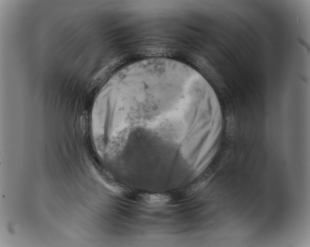 X0000098190165200805221526