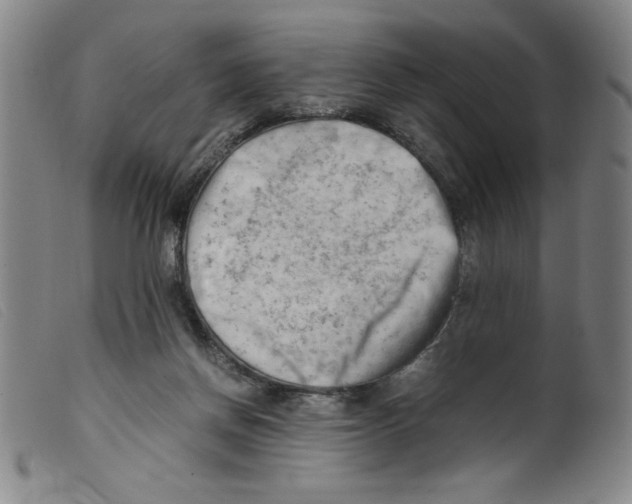 X0000098190166200805221526