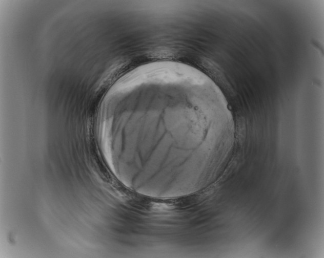 X0000098190167200805221526